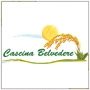 Scopri il produttore Cascina Belvedere Riso Biologico