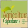 Scopri il produttore Cooperativa Sociale Capodarco Miele Biologico